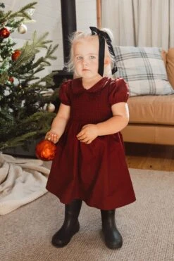 Mini Addie Dress In Wine - FINAL SALE -Fashion Clothing Store Addie Wine 08 165894