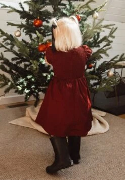 Mini Addie Dress In Wine - FINAL SALE -Fashion Clothing Store Addie Wine 09 789169