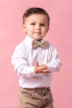 Baby Boys Henry Bow Tie In Champagne -Fashion Clothing Store ChampagneBowtie3 380316