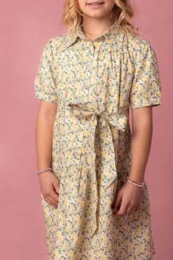 Mini Genevieve Dress -Fashion Clothing Store Genevive Studio Easter24 20 791354