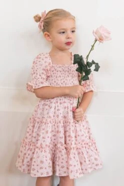 Mini Madeline Dress In Pink -Fashion Clothing Store IvyClassics 20 492189