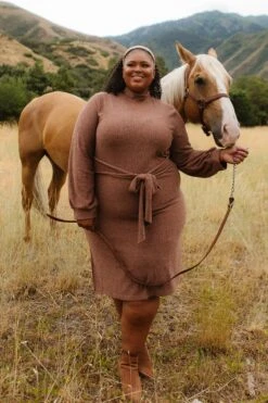 Jensen Dress In Mocha - FINAL SALE -Fashion Clothing Store JensenMocha QuietMeadows F23 114 473421