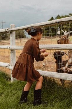 Mini Leena Dress In Java - FINAL SALE -Fashion Clothing Store LeenaJava ConradRanch F23 13 652206