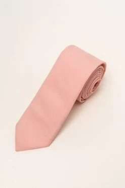 Fashion Clothing Store 43 Mens Max Tie In Spring Pink
