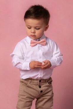 Baby Boys Henry Bow Tie In Spring Pink -Fashion Clothing Store PinkTies Studio Easter 2 945935