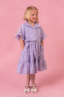 Mini Sutton Dress In Pinstripe -Fashion Clothing Store SuttonPinstripe Studio Summer1 2