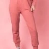 Ivy City Jogger Sweatpants In Pink