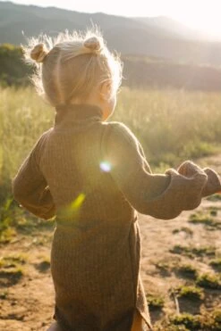 Mini Jensen Dress In Mocha - FINAL SALE -Fashion Clothing Store WEB JensenDress FW23 LindsayArnold 17