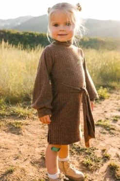 Mini Jensen Dress In Mocha - FINAL SALE -Fashion Clothing Store WEB JensenDress FW23 LindsayArnold 18