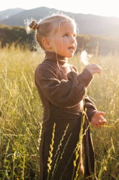 Mini Jensen Dress In Mocha - FINAL SALE -Fashion Clothing Store WEB JensenDress FW23 LindsayArnold 23