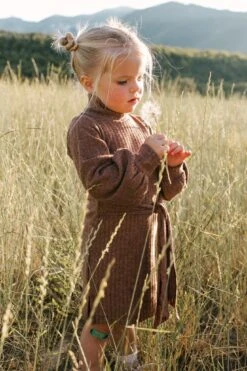 Mini Jensen Dress In Mocha - FINAL SALE -Fashion Clothing Store WEB JensenDress FW23 LindsayArnold 25