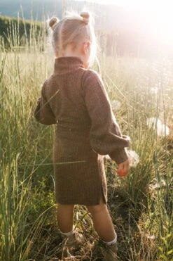 Mini Jensen Dress In Mocha - FINAL SALE -Fashion Clothing Store WEB JensenDress FW23 LindsayArnold 26 625677