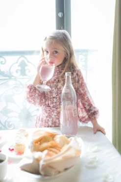 Mini Brynley Dress In Pink - FINAL SALE -Fashion Clothing Store WEB VDAY BRYNLEYPINK2 342239