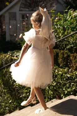 Mini Audra Dress -Fashion Clothing Store audra 3 723440