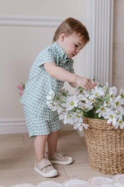 Boys James Shirt -Fashion Clothing Store boysjames 01 176136