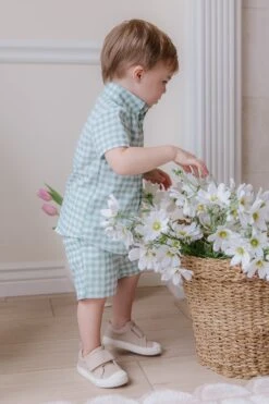 Boys James Shorts -Fashion Clothing Store boysjames 02 0c900a66 1698 4213 953b 9b2d50ee4b3b 464674