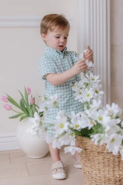 Boys James Shirt -Fashion Clothing Store boysjames 03 762394