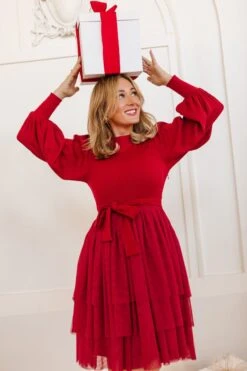 Short Cosette Dress In Red - FINAL SALE -Fashion Clothing Store cosetteshortred 14 144783