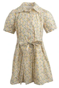 Mini Genevieve Dress -Fashion Clothing Store genevive mini front 331719