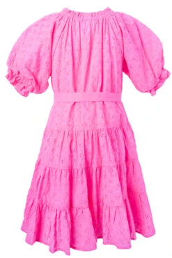 Mini Gigi Dress 13 Mini Gigi Dress -Fashion Clothing Store gigi mini back new