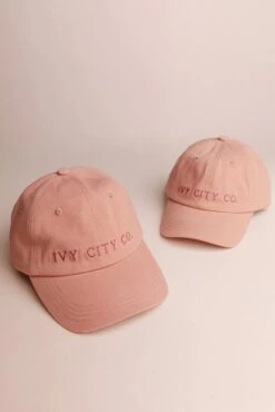 Ivy City Hat In Pink -Fashion Clothing Store hats 37 824995