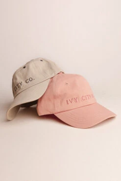 Ivy City Hat In Pink -Fashion Clothing Store hats 41 184150