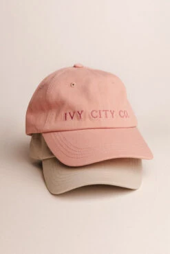 Ivy City Hat In Pink -Fashion Clothing Store hats 42 697948