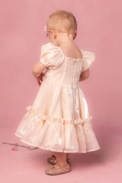 Mini Isabella Dress -Fashion Clothing Store isabella 10 678052