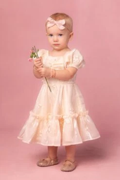 Mini Isabella Dress -Fashion Clothing Store isabella 12 490489