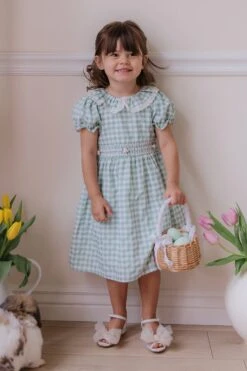 Mini Lottie Dress -Fashion Clothing Store lottie 1 430283