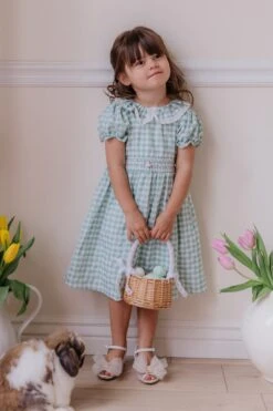 Mini Lottie Dress -Fashion Clothing Store lottie 3 204633