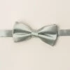 Baby Boys Henry Bow Tie In Sage