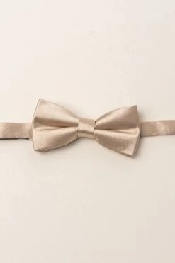 Baby Boys Henry Bow Tie In Champagne