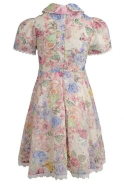 Mini Penny Dress -Fashion Clothing Store penny mini back 100048