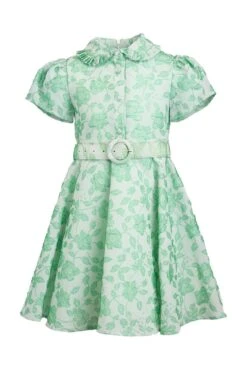 Mini Remi Dress -Fashion Clothing Store remi mini front 835148