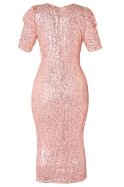 Starling Dress In Rose Gold Sequin -Fashion Clothing Store starlingRose back 209206